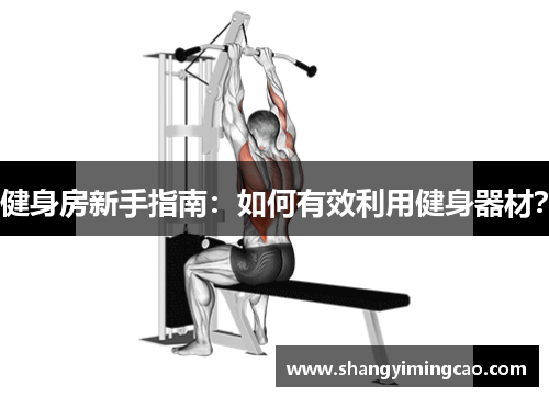 健身房新手指南：如何有效利用健身器材？