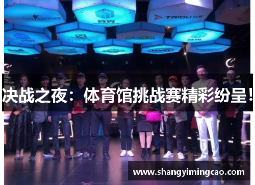 决战之夜：体育馆挑战赛精彩纷呈！