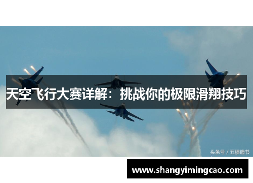 天空飞行大赛详解：挑战你的极限滑翔技巧