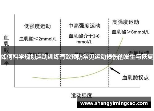 如何科学规划运动训练有效预防常见运动损伤的发生与恢复