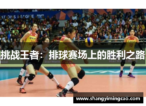 挑战王者：排球赛场上的胜利之路