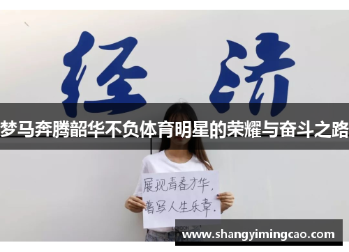 梦马奔腾韶华不负体育明星的荣耀与奋斗之路
