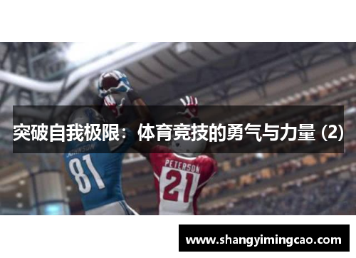 突破自我极限：体育竞技的勇气与力量 (2)