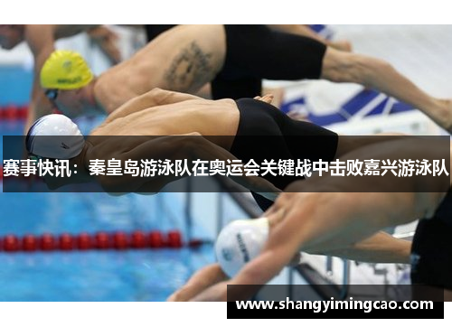 赛事快讯：秦皇岛游泳队在奥运会关键战中击败嘉兴游泳队
