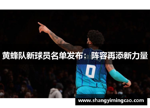 黄蜂队新球员名单发布：阵容再添新力量
