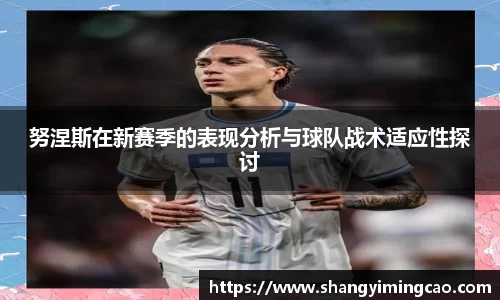 努涅斯在新赛季的表现分析与球队战术适应性探讨